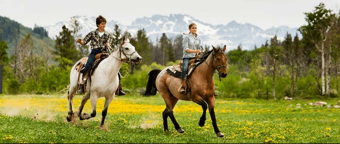 Confident plus-size woman riding Wokingham a horse through a field with a smile on her face.